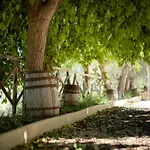 Tenuta Valle Delle Ferle Séjour à la ferme